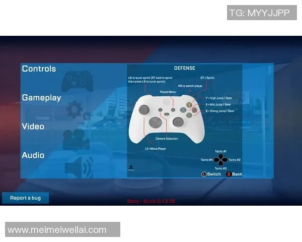 西安飞盘队意识表现的数据分析与战术提升研究 西安飞盘队意识表现的数据分析与战术提升研究