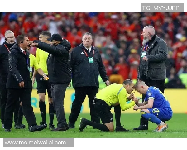 西甲联赛有底线裁判:西甲联赛裁判的底线标准与执法原则 西甲联赛有底线裁判:西甲联赛裁判的底线标准与执法原则